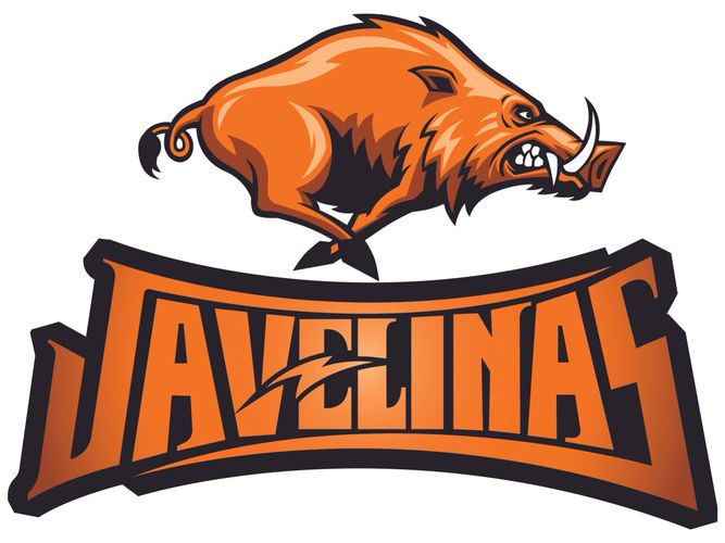 Texasjavelinabaseball